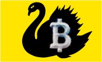 bs-adjusted