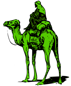 Silk-Road-Marketplace-Camel
